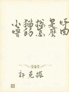 小猫总是呼噜呼噜的怎么回事