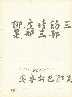 柳夜晴的三部曲是哪三部