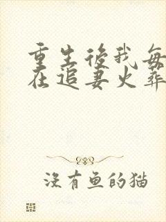 重生后我每天都在追妻火葬场封面