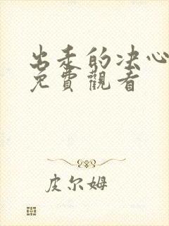 出走的决心全集免费观看