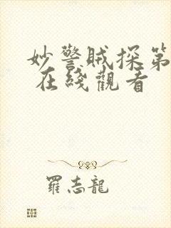 妙警贼探第六季 在线观看