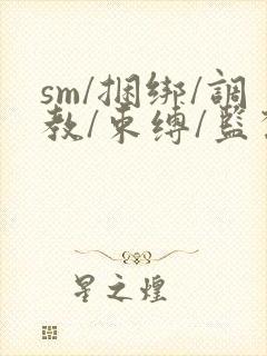 sm/捆绑/调教/束缚/监禁/羞辱/虐待封面