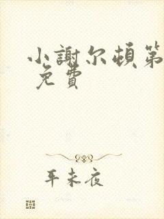 小谢尔顿第一季 免费