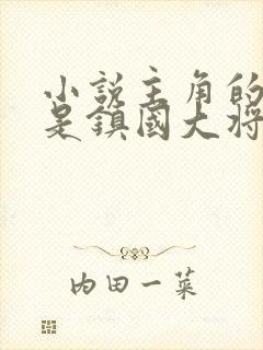 小说主角的父亲是镇国大将军封面