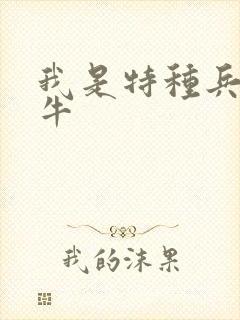 我是特种兵 二牛