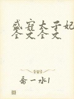 盛宠太子妃阅读全文全文封面