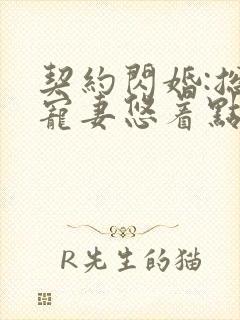 契约闪婚:总裁宠妻悠着点