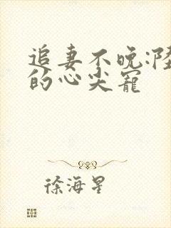 追妻不晚:陆少的心尖宠