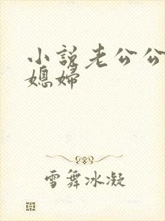 小说老公公和儿媳妇