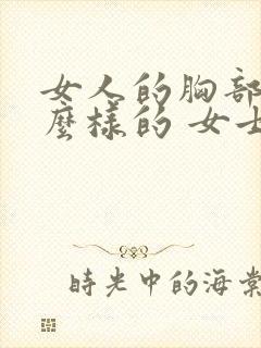 女人的胸部是什么样的 女士