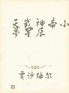 天武神帝小说醉梦星辰