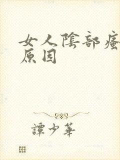 女人阴部瘙痒的原因