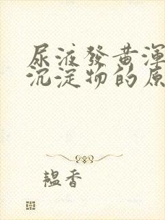 尿液发黄浑浊有沉淀物的原因