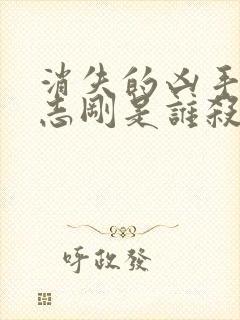 消失的凶手里段志刚是谁杀的封面