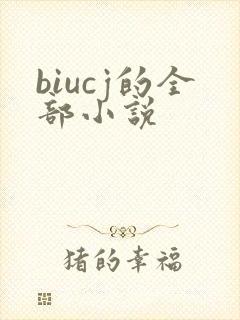 biucj的全部小说