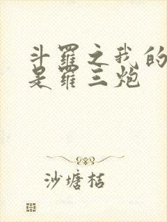 斗罗之我的武魂是罗三炮