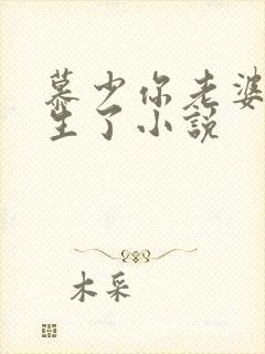 慕少你老婆又重生了小说