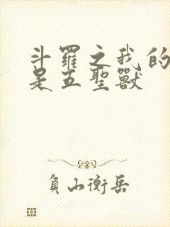 斗罗之我的武魂是五圣兽封面