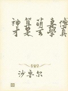 神算萌妻傅太太才是玄学真大佬锦朝朝傅霆渊