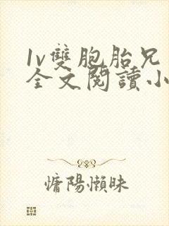 1v双胞胎兄弟全文阅读小说