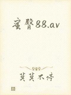 蜜臀88.av