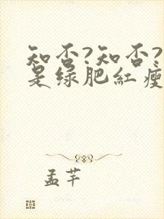 知否?知否?应是绿肥红瘦全集免费观看