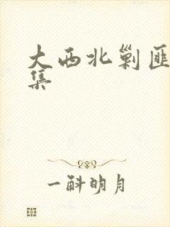 大西北剿匪记全集