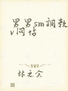 男男sm调教gv网站