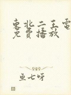 东北二王电视剧免费播放