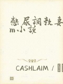 憋尿调教妻奴sm小说