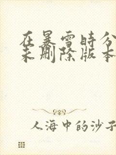 在暴雪时分小说未删除版本