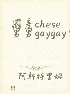 国产chese男男gaygay视频网站