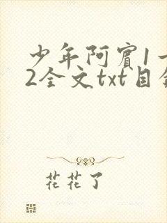 少年阿宾1一72全文txt目录