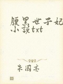 腹黑世子妃日常小说txt