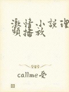 激情小说理论视频播放