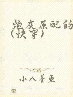 炮灰原配的人生(快穿)