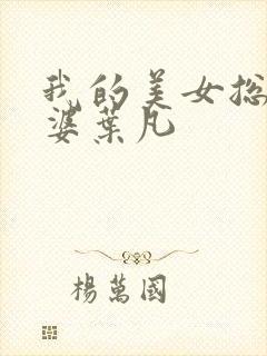 我的美女总裁老婆叶凡封面