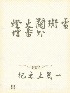 灯火阑珊处 新增番外