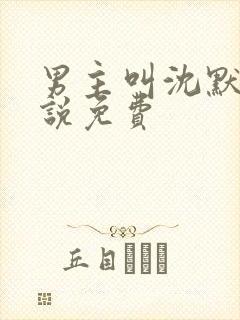 男主叫沈默的小说免费