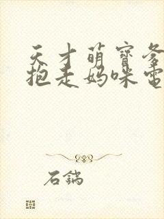 天才萌宝爹地请抱走妈咪电视剧封面