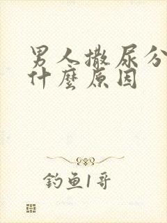 男人撒尿分叉是什么原因封面