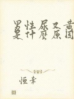 男性尿又黄又臭是什么原因