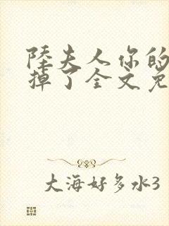 陆夫人你的马甲掉了全文免费阅读