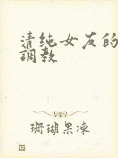 清纯女友的堕落调教