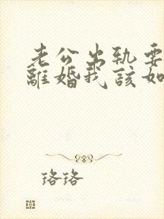 老公出轨要和我离婚我该如何挽回封面