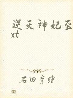 逆天神妃至上txt封面