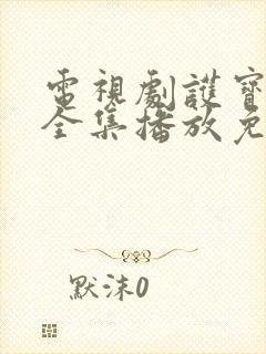 电视剧护宝寻踪全集播放免费观看