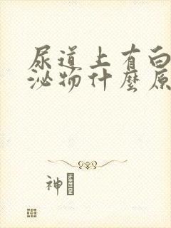 尿道上有白色分泌物什么原因