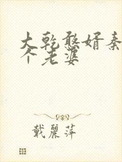 大乾憨婿秦墨几个老婆