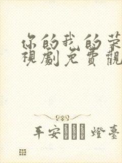 你的我的荣耀电视剧免费观看高清